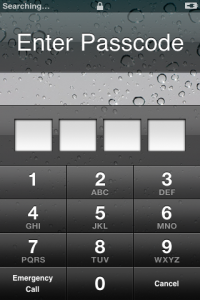 The iphone password screen.